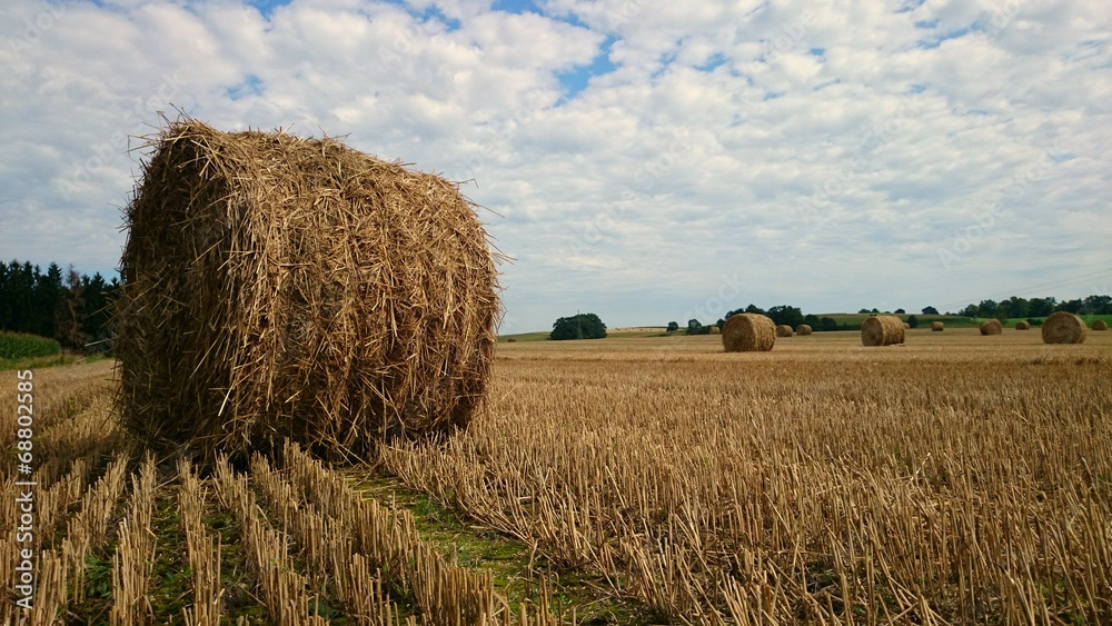 Heuballen farbenfroh