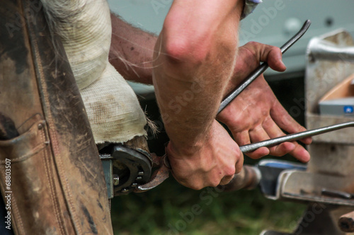 Horses hoof being shoed by farrier/blacksmith