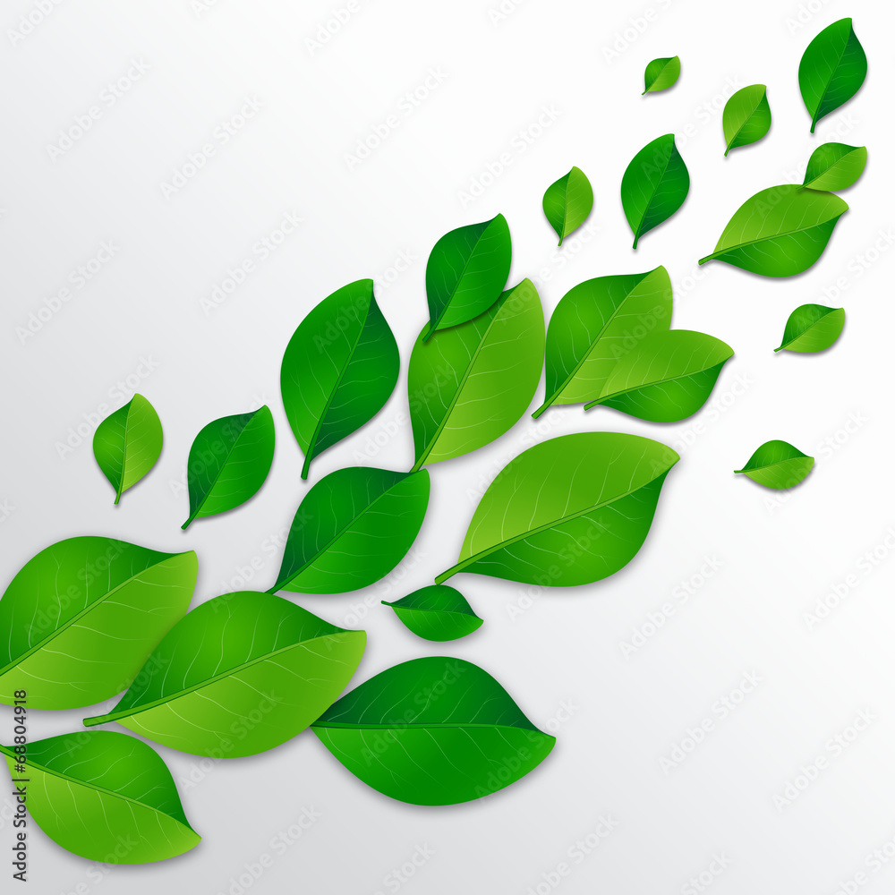 Green leaves. Seasonal background. Green leaves. Seasonal background.