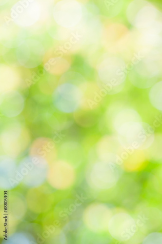 defocused abstract green background