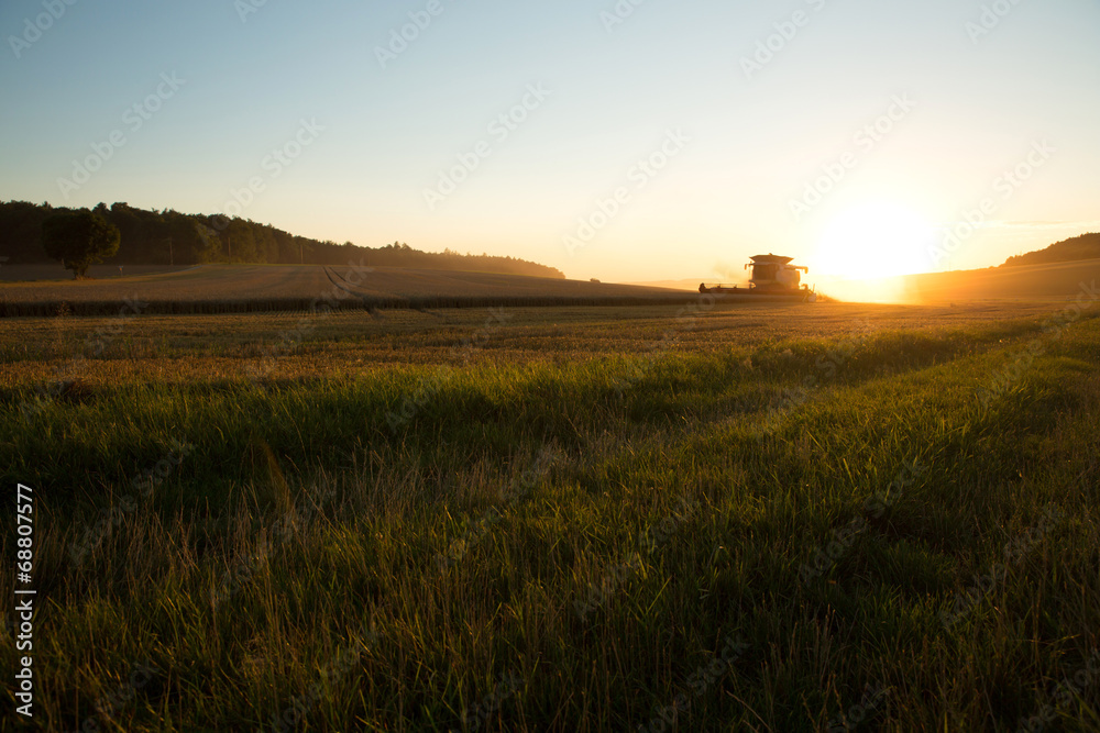 Abends auf dem Feld