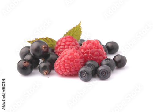 raspberries, bilberries, black currant on a stand-alone backgrou