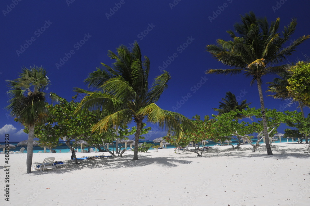 Naklejka premium Playa Esmeralda, Kuba