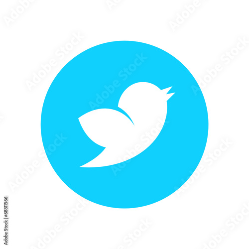 Social Bird