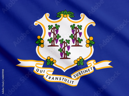 Connecticut flag waving