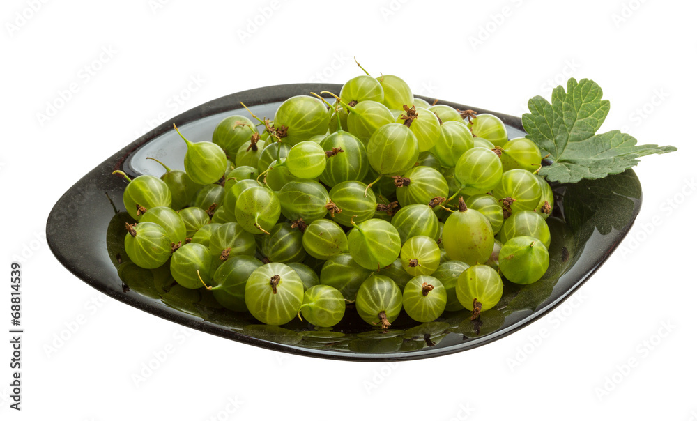 Gooseberry Gooseberry