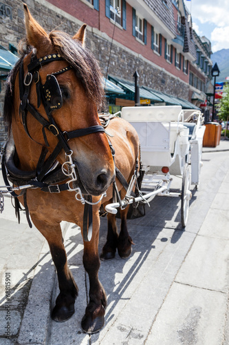 Horse With its Carriage in Tow © ronniechua