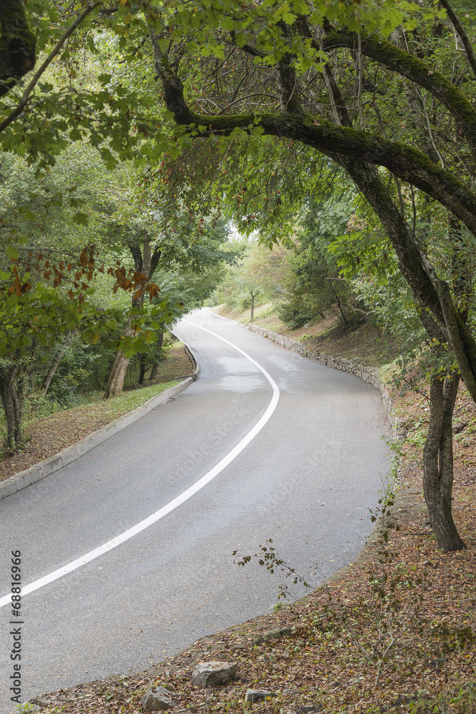 Twisting paved road with a dividing line in the wood Twisting paved road with a dividing line in the wood