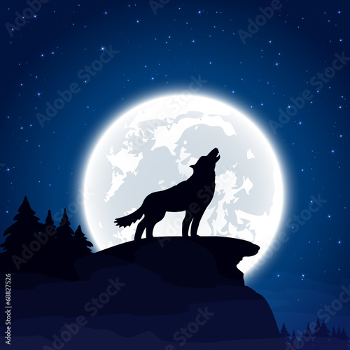 Wolf on Moon background