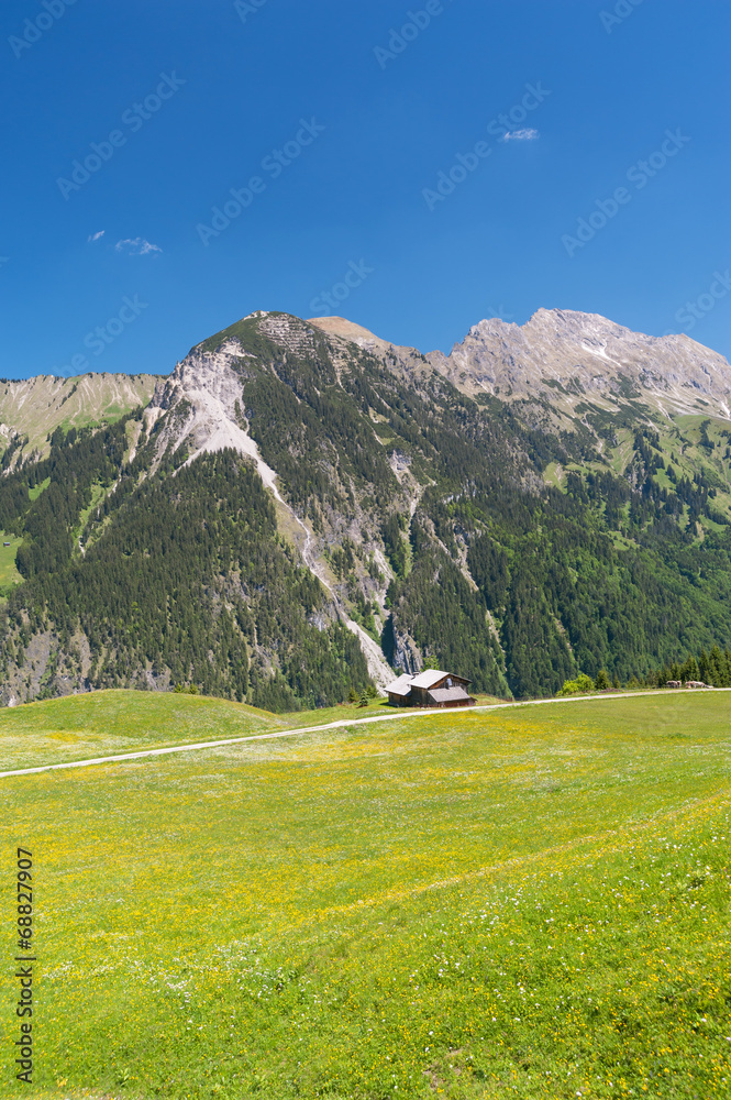 Alpe in Vorarlberg