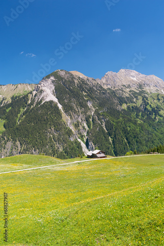 Alpe in Vorarlberg
