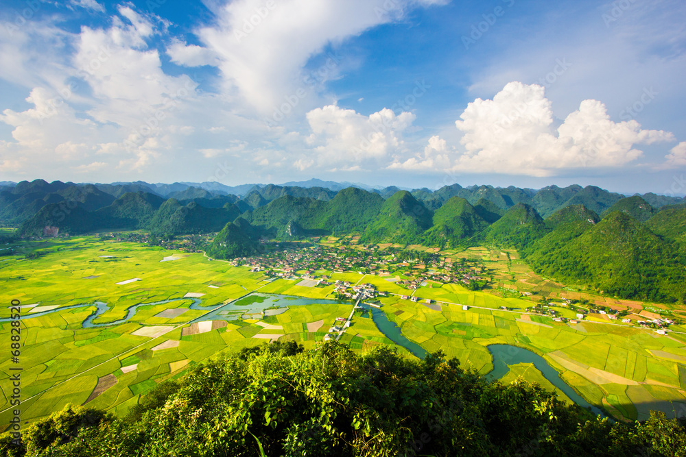 rice field in valley in Bac Son, Vietnam