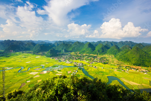 Fototapeta Naklejka Na Ścianę i Meble -  rice field in valley in Bac Son, Vietnam