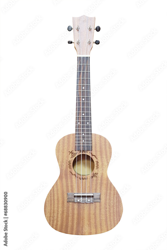 Naklejka premium The image of a hawaiian guitar