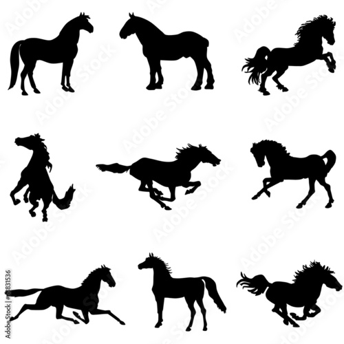 Fototapeta Naklejka Na Ścianę i Meble -  Horse silhouettes clipart 3