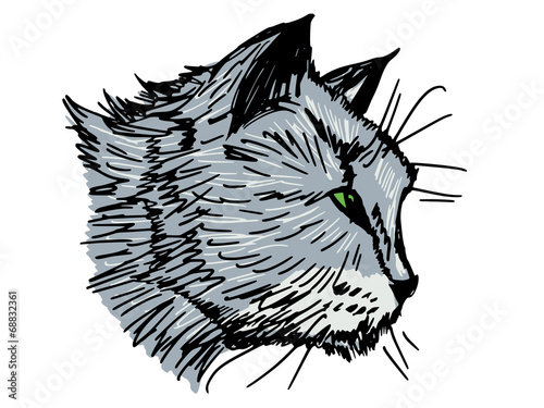 Portrait of cat