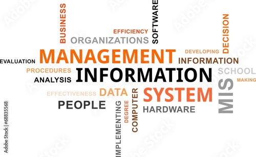 word cloud - mis