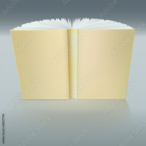 Standing open book with pages