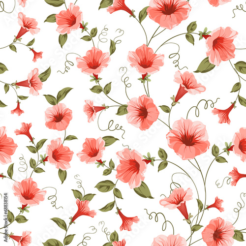Fototapeta Naklejka Na Ścianę i Meble -  Bindweed , floral background, seamless pattern