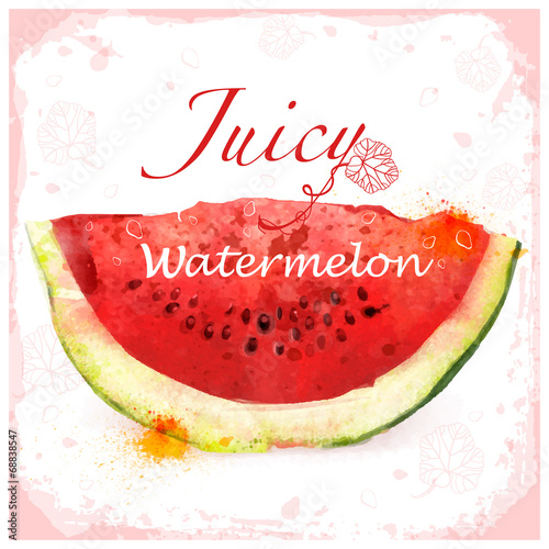 Red vector watercolor watermelon, juicy piece, tasty melon field