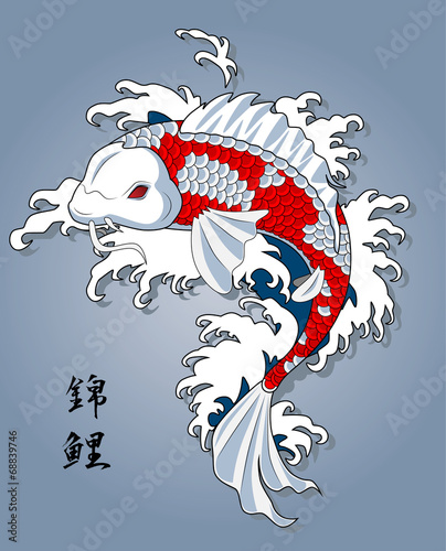 japan koi fish