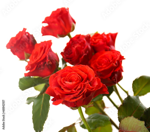 Bouquet of beautiful roses isolated on white