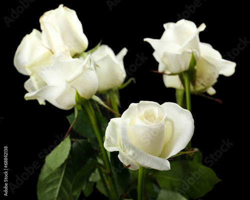 Bouquet of beautiful roses on black background