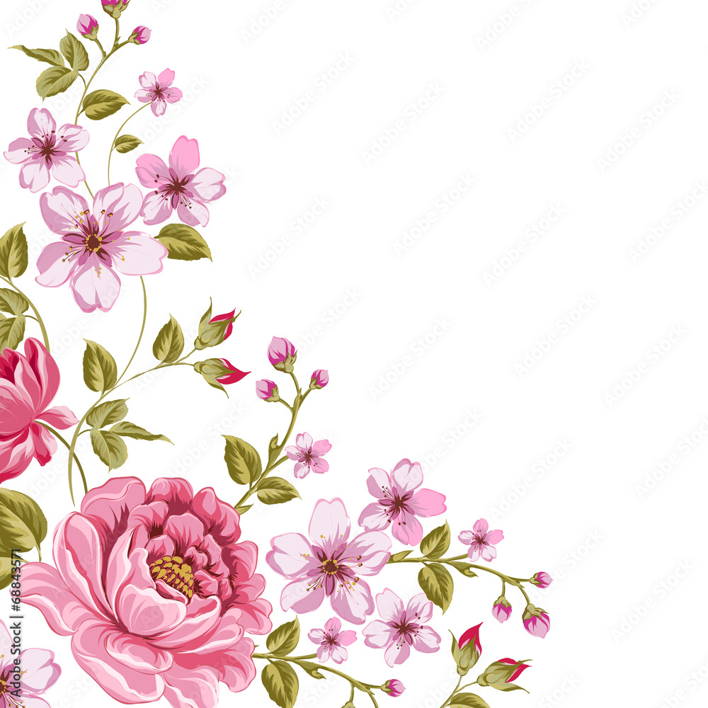 Fototapeta premium Luxurious color peony background.