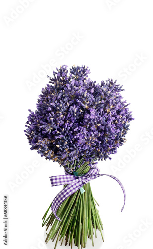 mazzo di fiori recisi di lavanda