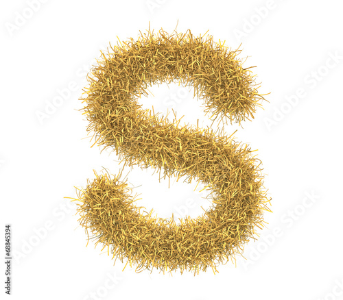 Letter of hay isolated on white background photo