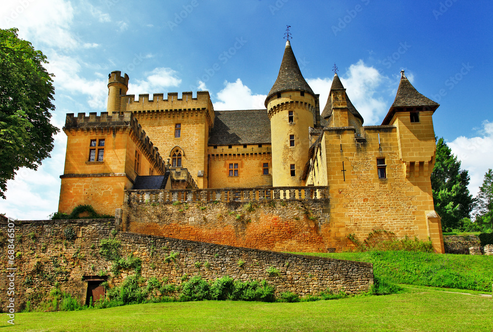 castles of France collection - Puymartin (Dordogne department)