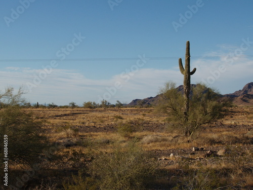 paesaggio Arizona