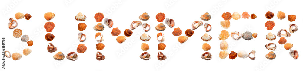 S U M M E R text composed of seashells S U M M E R text composed of seashells