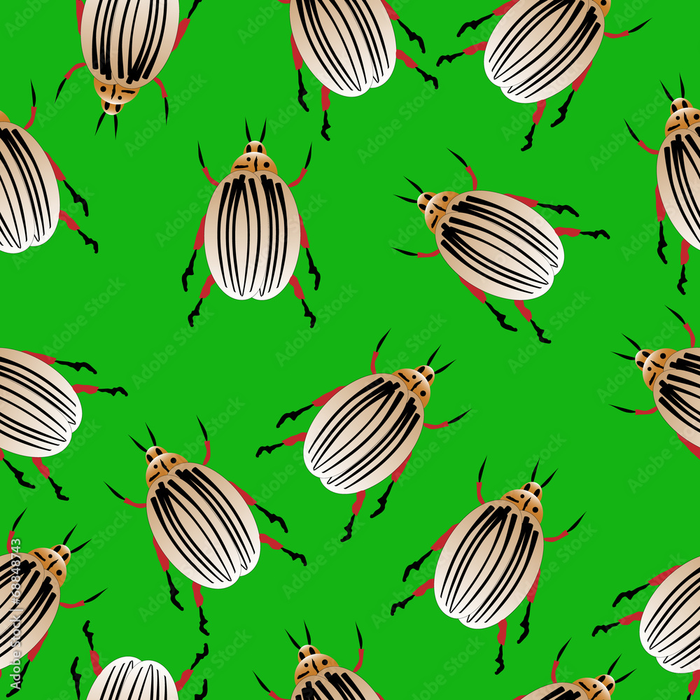 Colorado potato beetles seamless pattern Colorado potato beetles seamless pattern