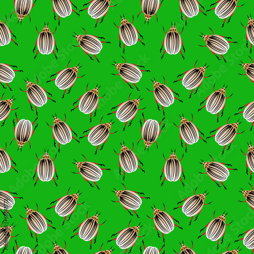 Colorado potato beetles seamless pattern