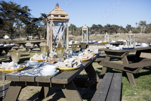 Elegant picnic photo