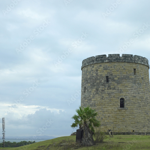 Castle on a hill