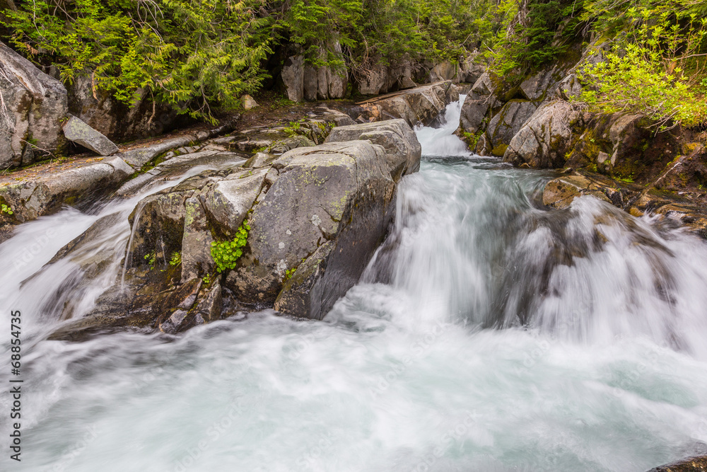 Rapids on the Paradise River, Mt. Rainier National Park Rapids on the Paradise River, Mt. Rainier National Park