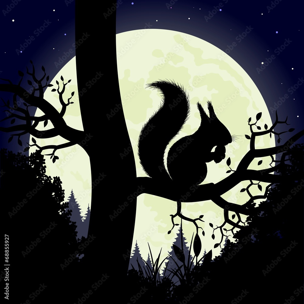 Silhouette of the squirrel on the background of the moon.
