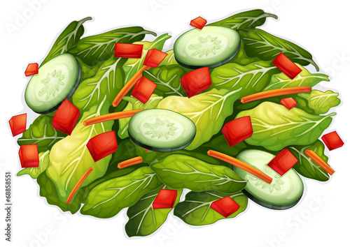 Salad