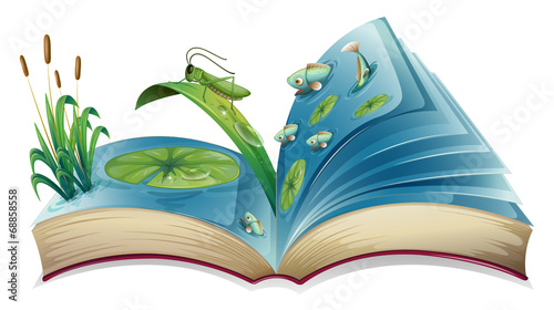Pop-up book