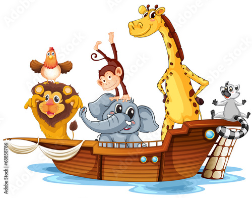 Animals on boat