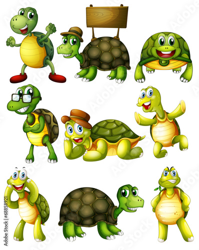 Turtle  actions