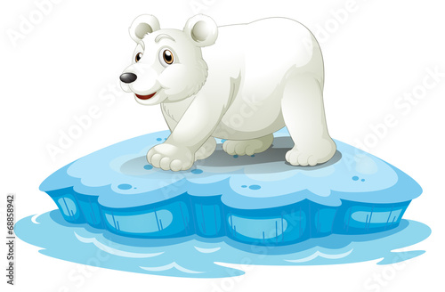 Polar bear