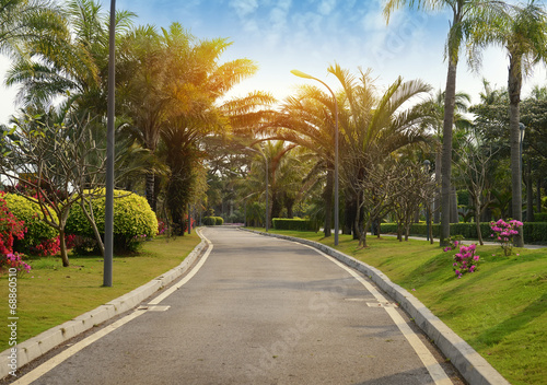 walkway in a beautiful Park © xiaoliangge