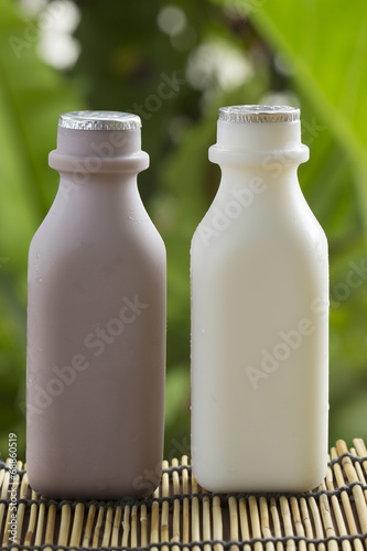 Plastic bottle of Chocolate and Fresh Milk
