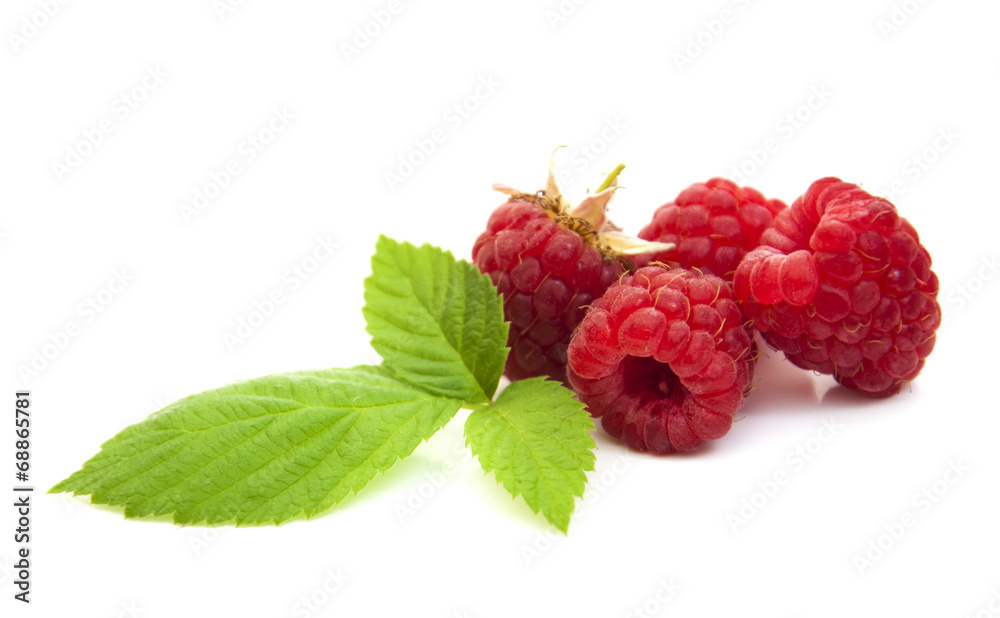 Raspberry Raspberry