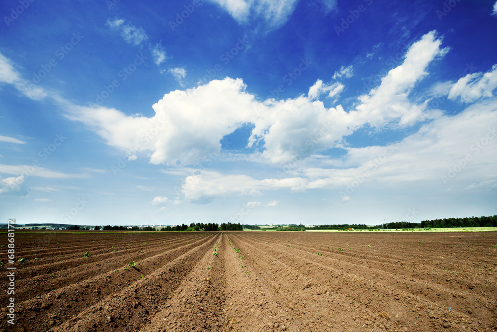 plowed field and blue sky in sunset plowed field and blue sky in sunset