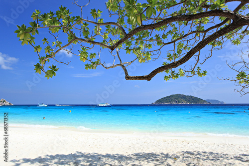 Tropical beach, Similan Islands, Andaman Sea, Thailand 