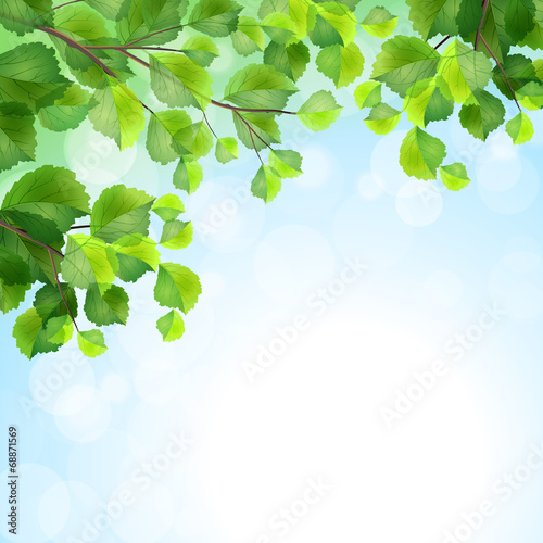 Green leaves tree branches vector background